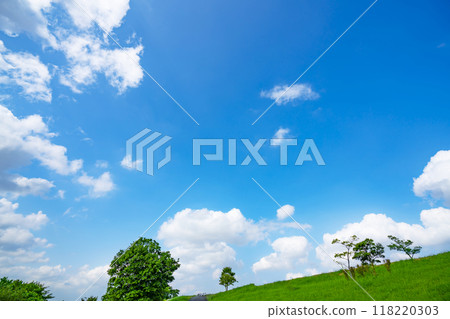 Summer blue sky and meadow 118220303