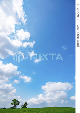 Summer blue sky and meadow 118220305