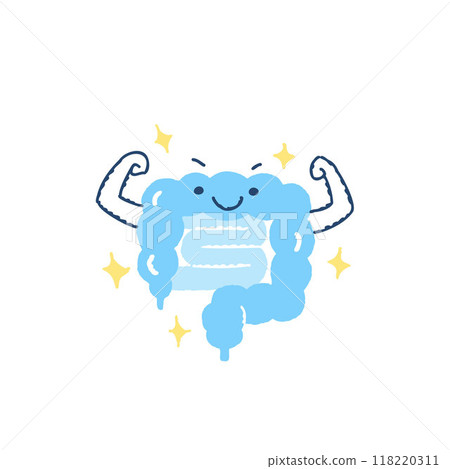 Image of a healthy large intestine 118220311