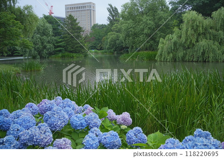中島公園 118220695