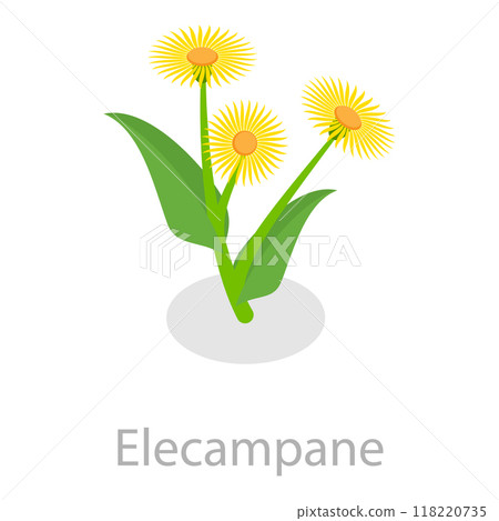 3D Isometric Flat Vector Set of Astringent Herbs, Natural Herbal Remedy. Item 6 3D Isometric Flat Vector Set of Astringent Herbs, Natural Herbal Remedy. Item 6 118220735