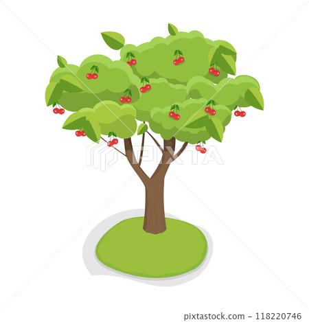 3D Isometric Flat Vector Set of Fruit Tree, Garden Plants Cultivation. Item 2 118220746