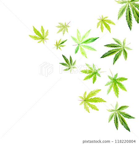 Banner, template with a green triangle of Cannabis indica, Marijuana medicinal plant. Watercolor illustration Banner, template with a green triangle of Cannabis indica, Marijuana medicinal plant. Watercolor illustration 118220804