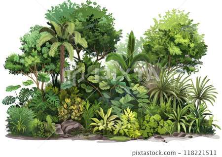 woodland garden, with a variety of understory shrubs, cut out on a white background. 118221511