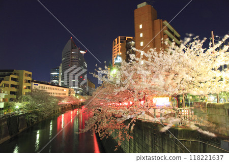 Megurogawa Sakura Festival Evening scenery Megurogawa Sakura Festival Evening scenery 118221637
