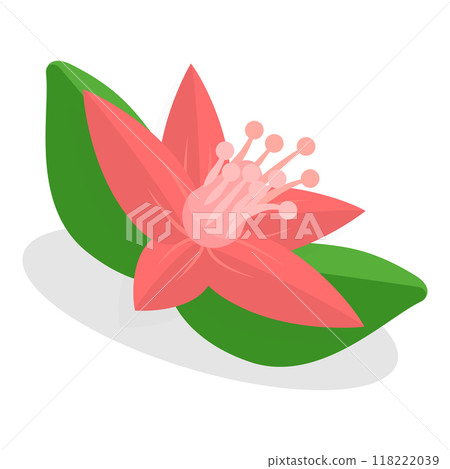 3D Isometric Flat Vector Set of Jeju, South Korean Island. Item 4 118222039