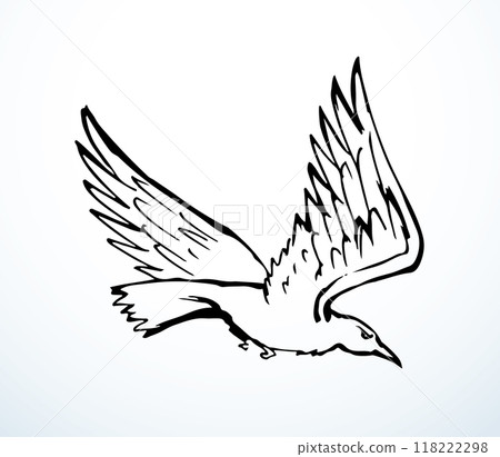 Vector drawing. Big flying bird Vector drawing. Big flying bird 118222298