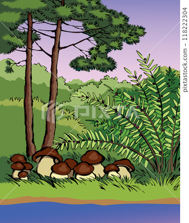 Vector drawing. Forest harvest of mushrooms Vector drawing. Forest harvest of mushrooms 118222304