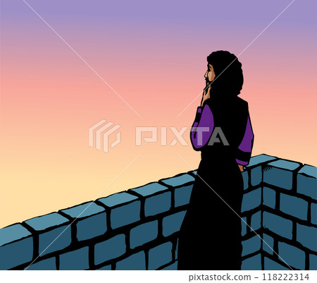 Vector drawing. King David on the roof of palace 118222314