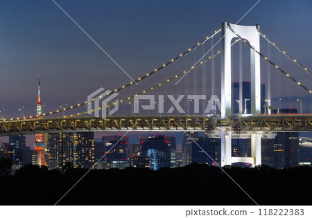 City night view Tokyo Bay 118222383