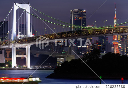 City night view Tokyo Bay 118222388