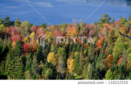 Lake and autumn leaves along the lake 118222520