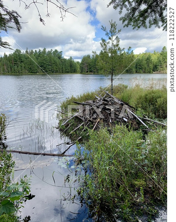 Beaver's nest on the lake 118222527