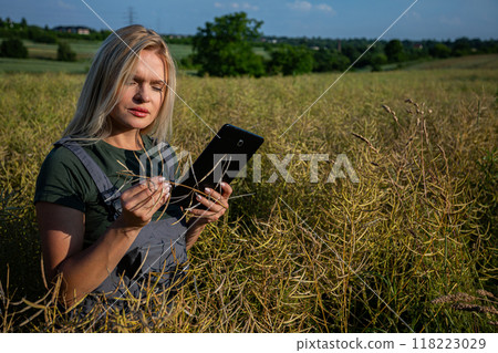 A woman farmer checking the quality of rapeseed on the field and holding a tablet on a sunny day A woman farmer checking the quality of rapeseed on the field and holding a tablet on a sunny day 118223029