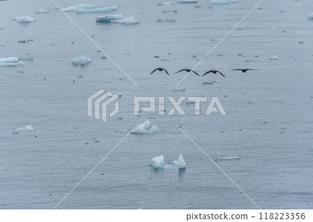 Landscape of the Antarctic Peninsula Landscape of the Antarctic Peninsula 118223356