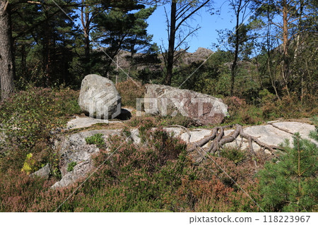 Round boulder in a forest near Hellvik, Norway. Round boulder in a forest near Hellvik, Norway. 118223967