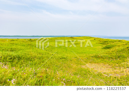 Summer in Hokkaido, along the Sea of Okhotsk, Koshimizu Primeval Flower Garden 118225537