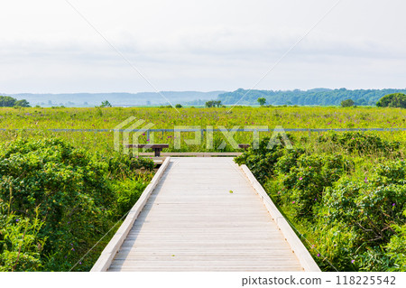 Summer in Hokkaido, along the Sea of Okhotsk, Koshimizu Primeval Flower Garden 118225542