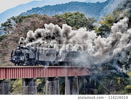 Oigawa鐵路的蒸汽機車 118226019
