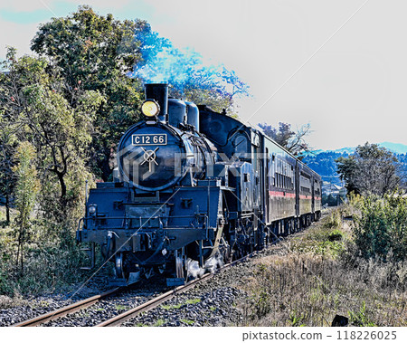 Moka鐵路蒸汽機車 118226025