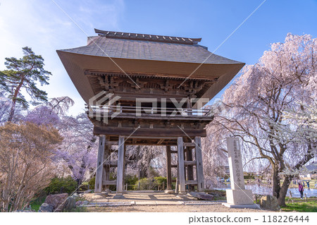 Matsumoto City, Nagano Prefecture: The 500-year-old weeping cherry tree and gate of Anyoji Temple 118226444
