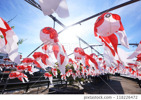 Yanai Goldfish Lantern Festival 2731 Yanai Goldfish Lantern Festival 2731 118226472