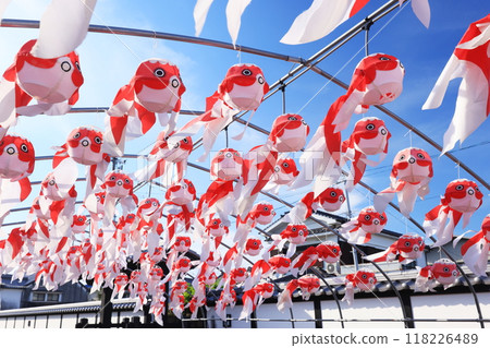 Yanai Goldfish Lantern Festival 2811 118226489