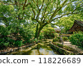 Beautiful Japanese garden with camphor tree in Dazaifu Tenman-gu, shrine 118226689