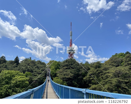A suspension bridge with a view of Utsunomiya Tower 118226792