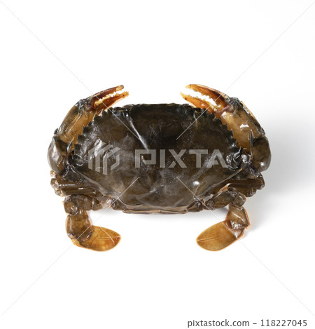 Soft shell crab_thawed raw Soft shell crab_thawed raw 118227045