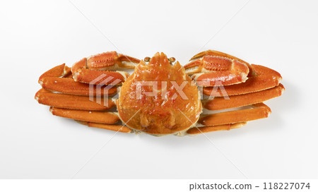 Boyle snow crab figure Boyle snow crab figure 118227074