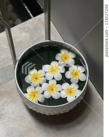 歡迎·花 118227288