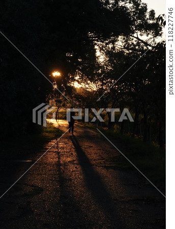 伴著夕陽跑 伴著夕陽跑 118227746