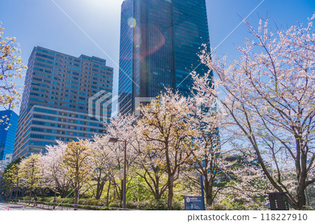 【東京】櫻花盛開的東京中城風景 【東京】櫻花盛開的東京中城風景 118227910