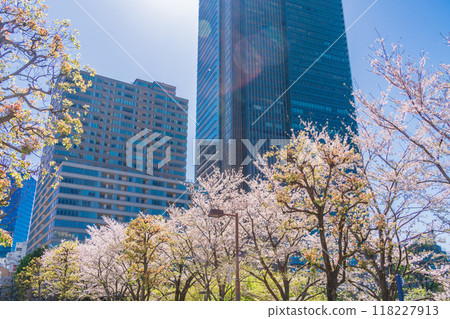 [Tokyo] Tokyo Midtown with cherry blossoms in full bloom 118227913