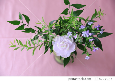 玻璃容器裡的花 玻璃容器裡的花 118227987