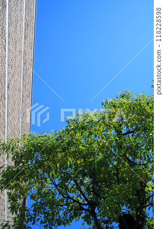 The outer wall of the building and the blue sky 118228598