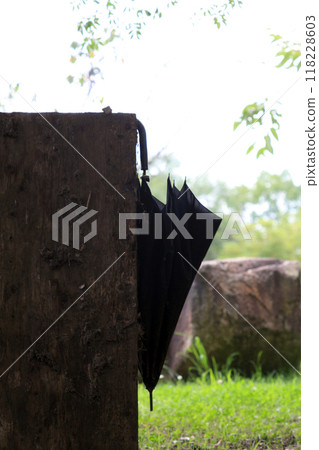 一把被遺忘的蝙蝠傘 一把被遺忘的蝙蝠傘 118228603