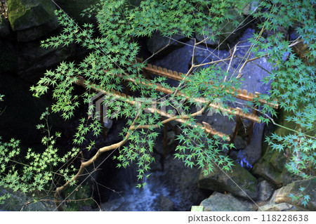 Fresh greenery and stream water Fresh greenery and stream water 118228638