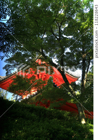 Fresh greenery and the vermilion pagoda Fresh greenery and the vermilion pagoda 118228643