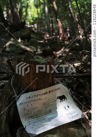 山路上的熊警告標誌 118228648