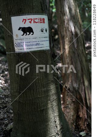 Bear warning sign on the hiking trail Bear warning sign on the hiking trail 118228649