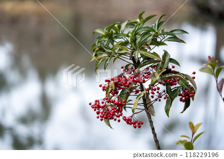 呼氣 呼氣 118229196