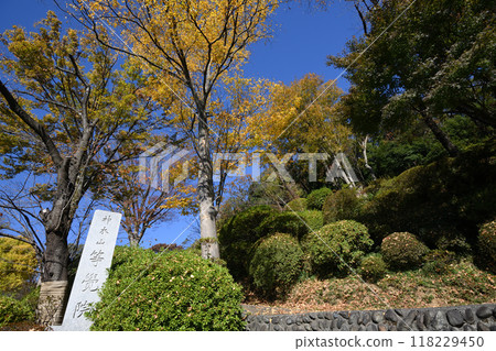 Nagao Village in late autumn 118229450