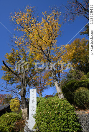 Nagao Village in late autumn 118229452