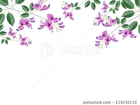 萩秋花背景框架水彩插圖 118230210