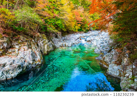 The Agana valley in autumn 118230239