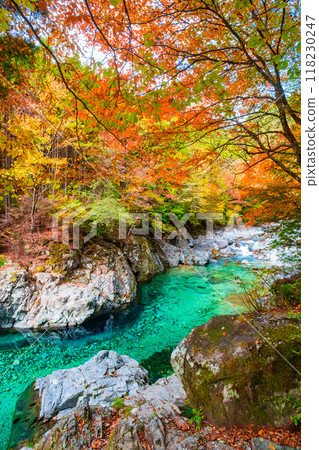 The Agana valley in autumn The Agana valley in autumn 118230247