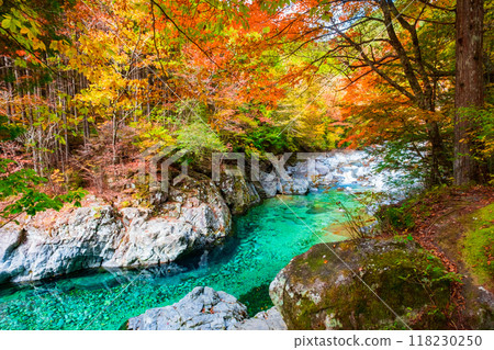 The Agana valley in autumn The Agana valley in autumn 118230250