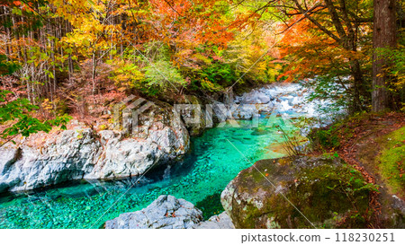 阿加尼亞山谷在秋天 阿加尼亞山谷在秋天 118230251